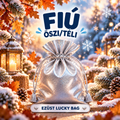 56 - Fiú - Őszi/Téli - Ezüst Lucky bag