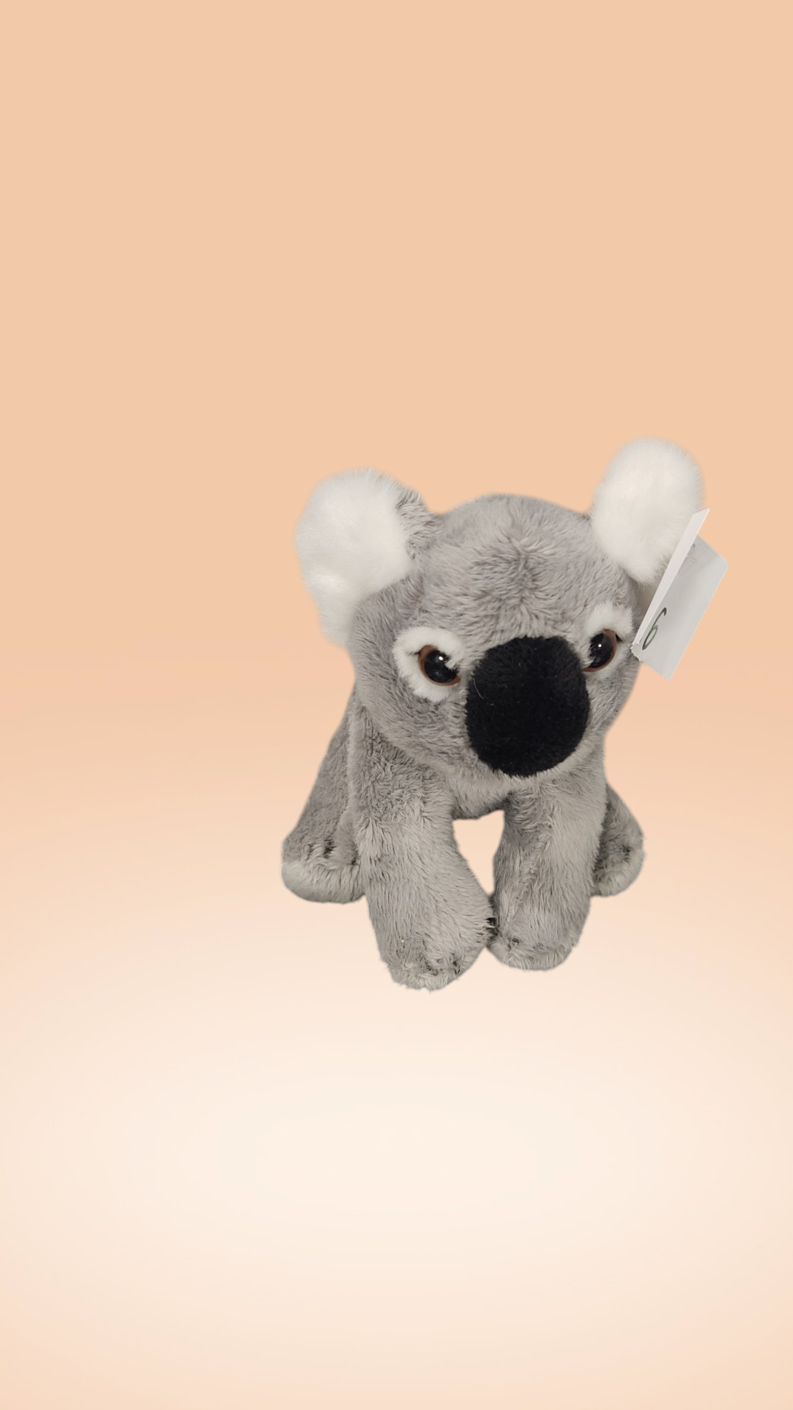 Koala plüss